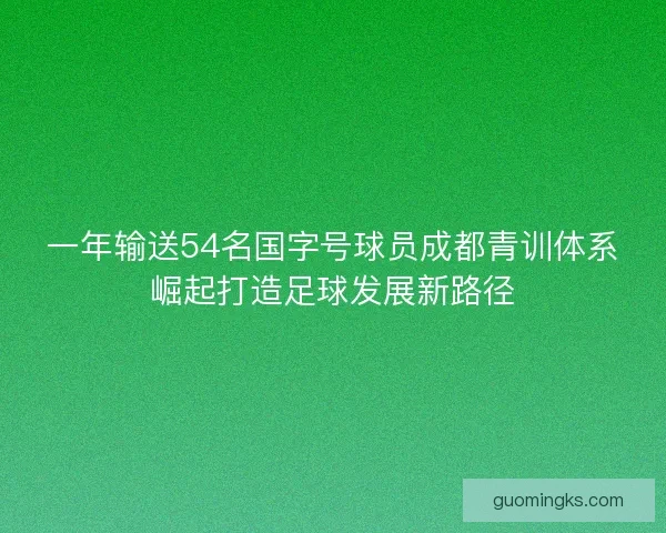 一年输送54名国字号球员成都青训体系崛起打造足球发展新路径