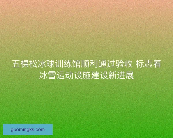 五棵松冰球训练馆顺利通过验收 标志着冰雪运动设施建设新进展