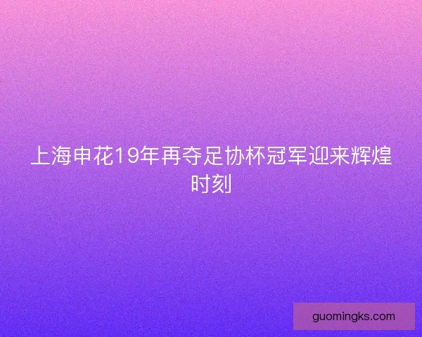 上海申花19年再夺足协杯冠军迎来辉煌时刻